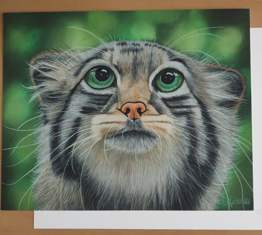 Tirages d&rsquo;art « La Chat potté » (30x24cm)