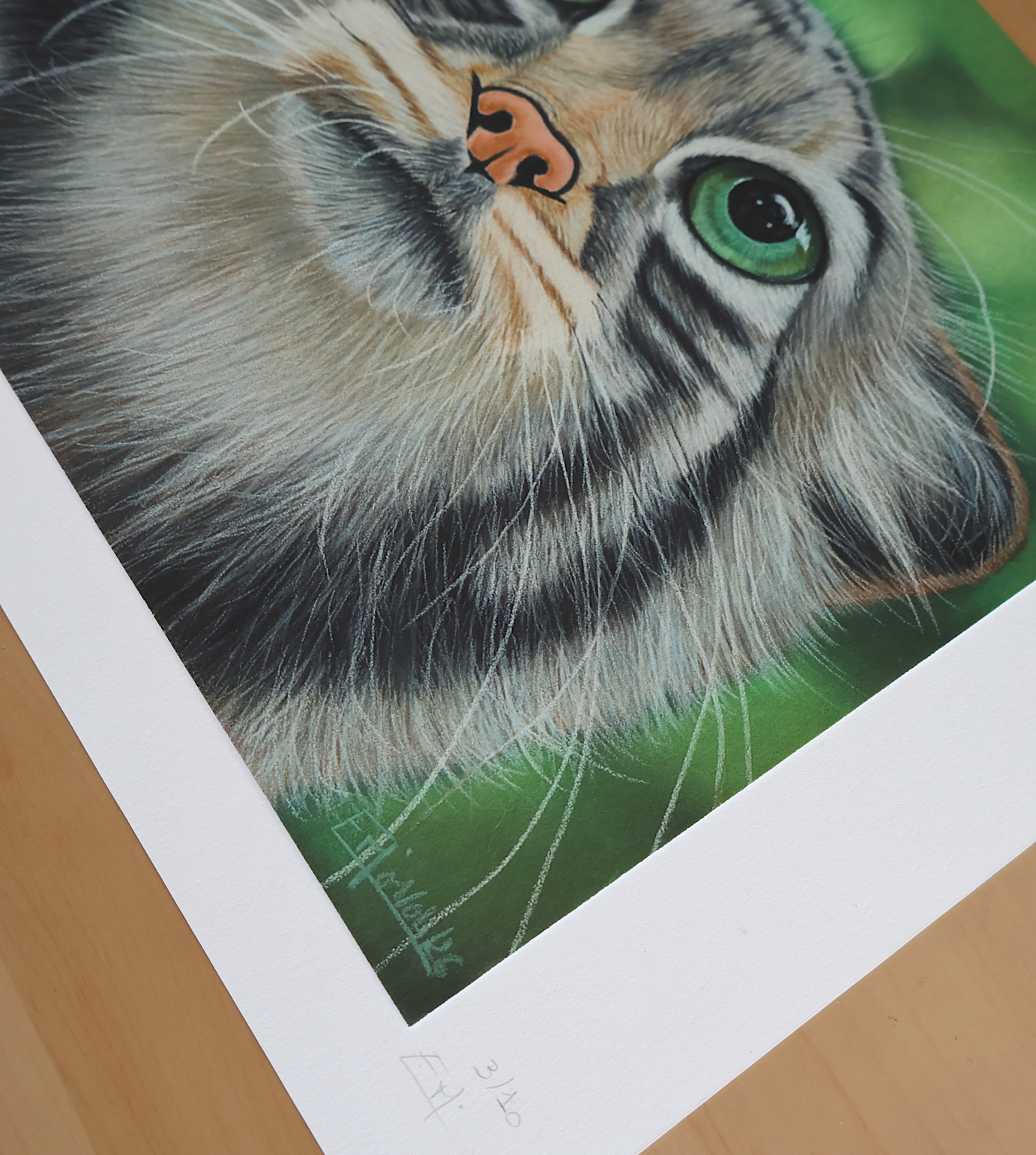Tirage d'art de "Le Chat Potté", 24x30cm, 45€