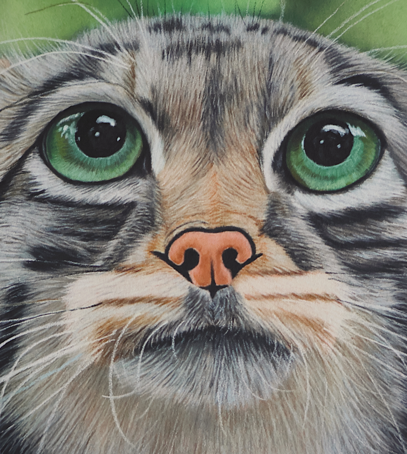 Tirage d'art de "Le Chat Potté", 24x30cm, 45€