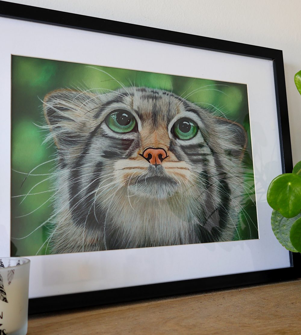 Tirage d'art de "Le Chat Potté", 24x30cm, 45€