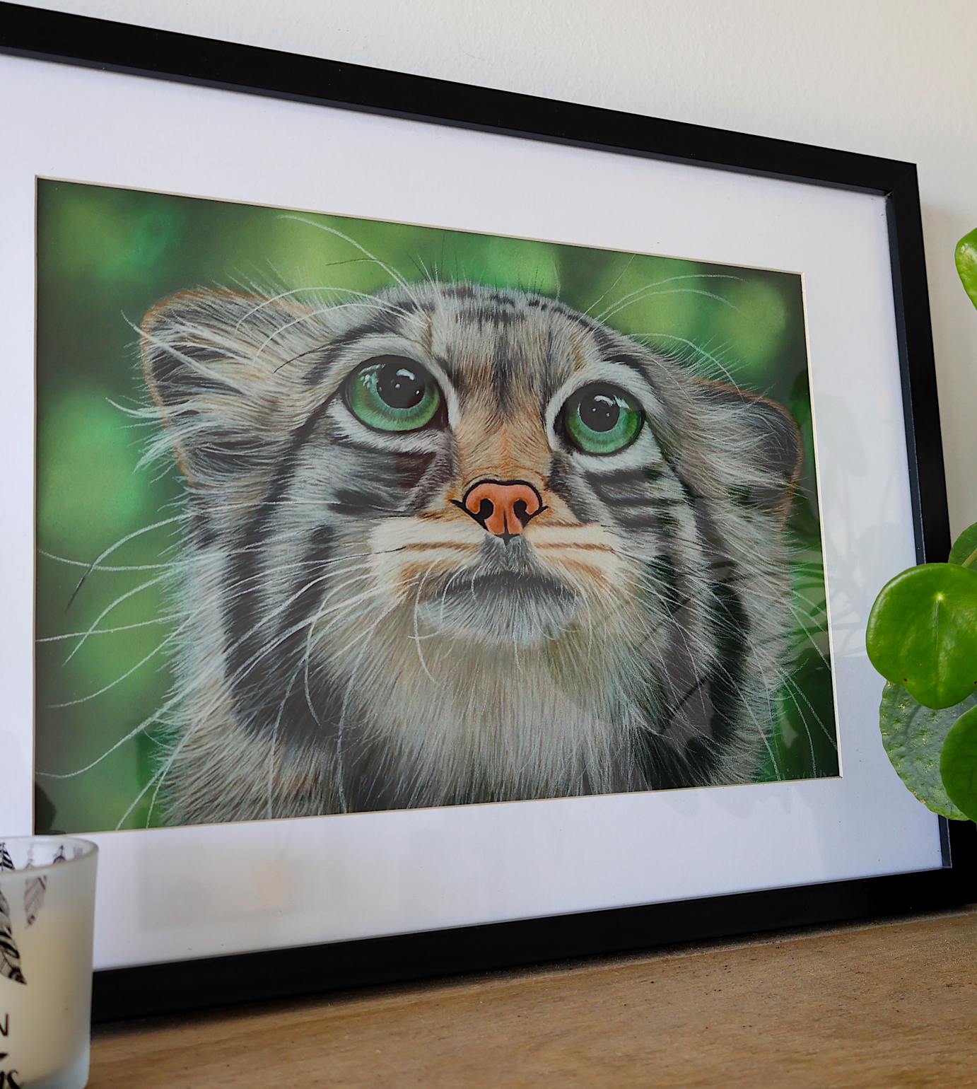 Tirage d'art de "Le Chat Potté", 24x30cm, 45€