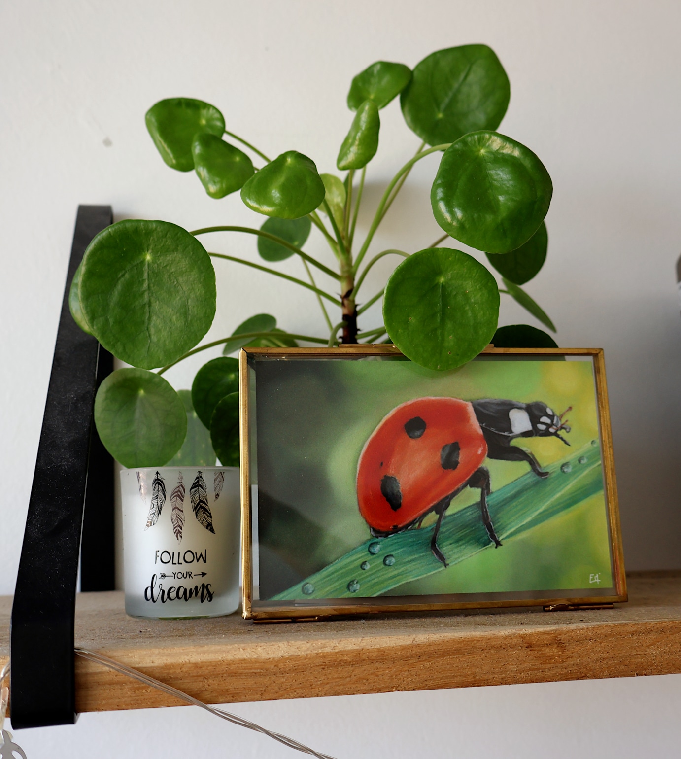 Tirage d'art de "La bête à bon Dieu", 15x10cm, 7€