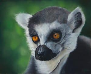 Portrait au pastel sec d'un maki catta
